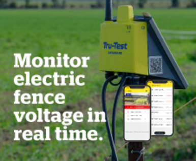Monitor electric fence voltage in real time